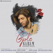 دانلود آهنگ جدید محمد ماهور به نام گل نابم